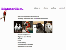 Tablet Screenshot of birdsforfilm.com
